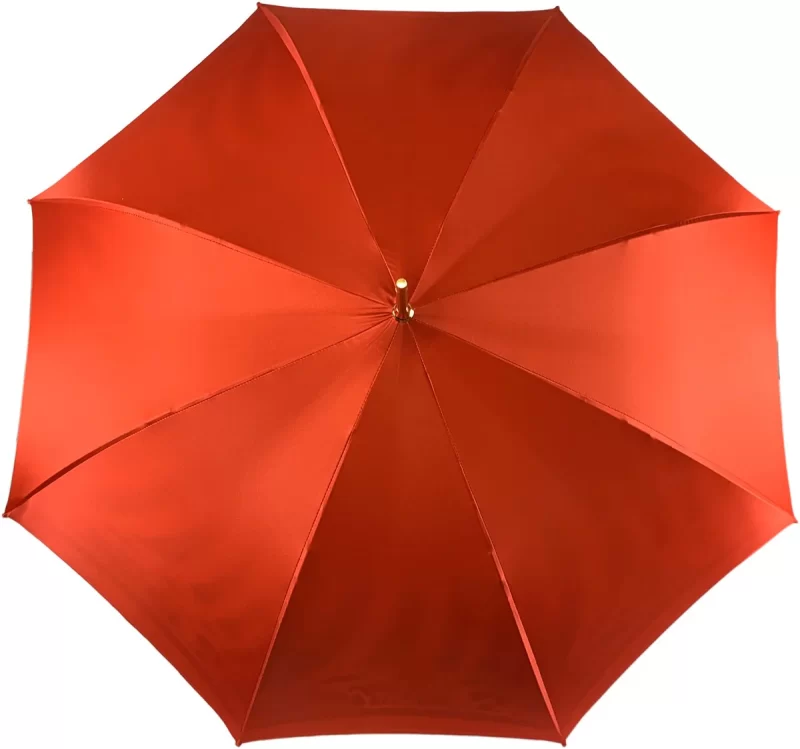 Parapluie élégant avec imprimé animalier à l'intérieur, double tissu – Image 2